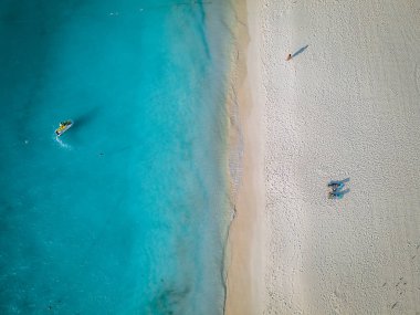 Aruba 'da Kartal Sahili kıyısında palmiye ağaçları