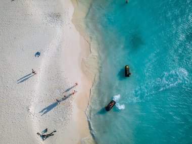 Aruba 'da Kartal Sahili kıyısında palmiye ağaçları