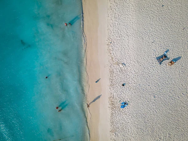 Palmy na wybrzeżu Eagle Beach na Arubie — Zdjęcie stockowe