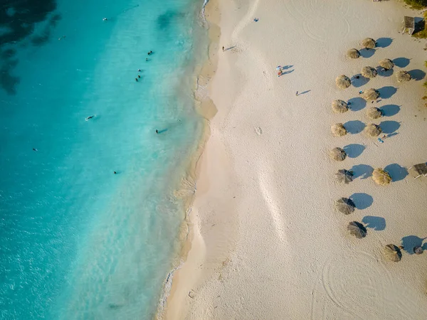 Aruba 'da Kartal Sahili kıyısında palmiye ağaçları — Stok fotoğraf