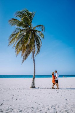 Palm Trees on the shoreline of Eagle Beach in Aruba clipart