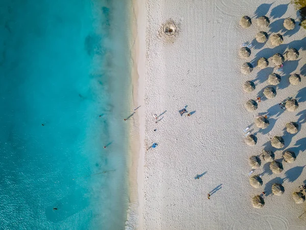 Palm Trees on the shoreline of Eagle Beach in Aruba — Stock Photo, Image