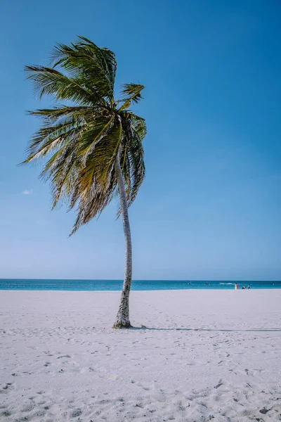 Palmen am Strand von Eagle Beach auf Aruba — Stockfoto