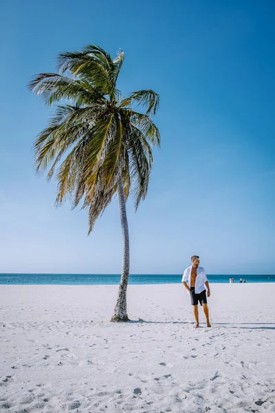 아루바에 있는 독수리 해변의해 안에 있는 야자나무 — 스톡 사진