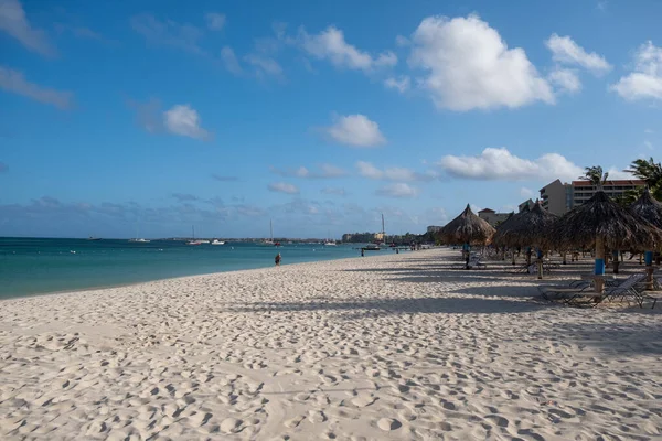 Palm Beach Aruba, muhteşem tropikal plaj, okyanusa dalan palmiye ağacı, altın kum ve mavi gökyüzü.
