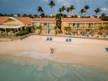 Plajda palmiye ağaçlarıyla Aruba Karayipleri