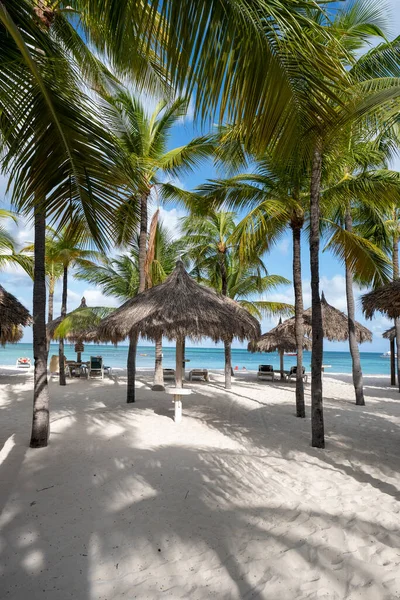Palm beach Aruba, Increíble playa tropical con palmeras que ingresan al océano contra el océano azul, arena dorada y cielo azul — Foto de Stock