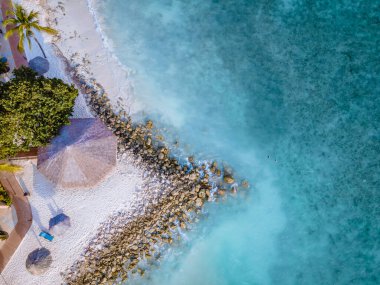 Palmiye ağaçları ve lüks yüzme havuzu olan Aruba Karayip beyaz plajı.