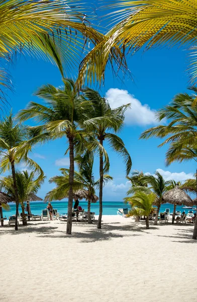 Palm beach Aruba Caribe, playa de arena blanca y larga con palmeras en Aruba — Foto de Stock