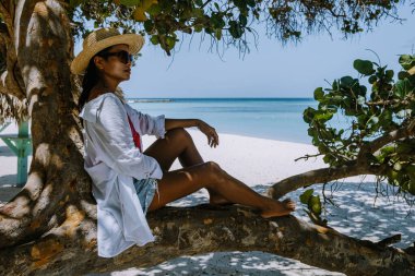 Palm Beach Aruba Karayipleri, Aruba 'da palmiye ağaçları olan beyaz kumlu plaj