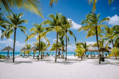 Palm Beach Aruba Karayipleri, Aruba 'da palmiye ağaçları olan beyaz kumlu plaj