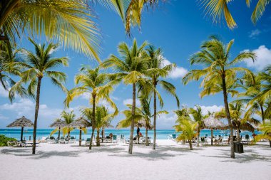 Palm Beach Aruba Karayipleri, Aruba 'da palmiye ağaçları olan beyaz kumlu plaj