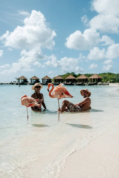 Aruba strand rózsaszín flamingókkal a strandon, flamingó a strandon Aruba sziget Karib-tenger — Stock Fotó