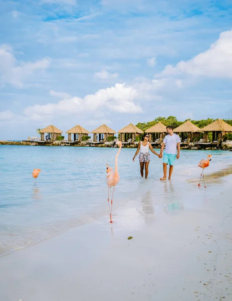 Plajda pembe flamingolu Aruba plajı, Aruba Adası Karayiplerinde flamingo. — Stok fotoğraf