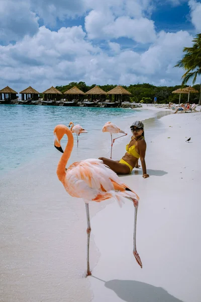 Пляж Арубы с розовыми фламинго на пляже, фламинго на пляже острова Аруба в Карибском море — стоковое фото