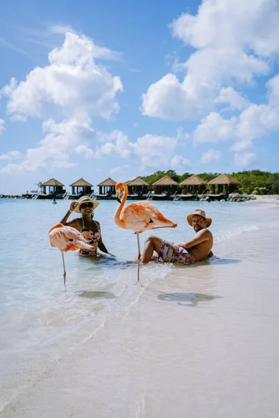 Aruba beach with pink flamingos at the beach, flamingo at the beach in Aruba Island Caribbean — Stock Photo, Image