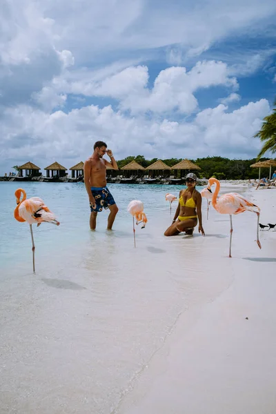 Praia de Aruba com flamingos cor-de-rosa na praia, flamingo na praia na Ilha de Aruba Caribe — Fotografia de Stock