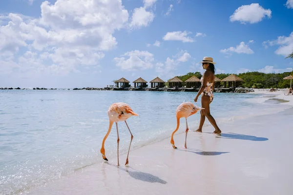 ビーチでピンクのフラミンゴを持つアルバビーチ、アルバ島のビーチでフラミンゴカリブ海 — ストック写真