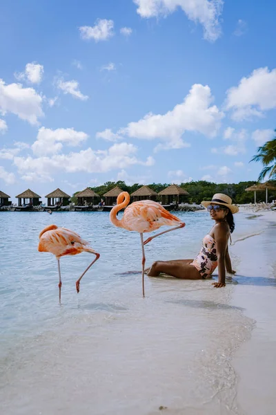 분홍색 플라밍고들 이 해변에 있는 아루바 해변, 아루바섬 카리브해의해 변에 있는 홍학 — 스톡 사진