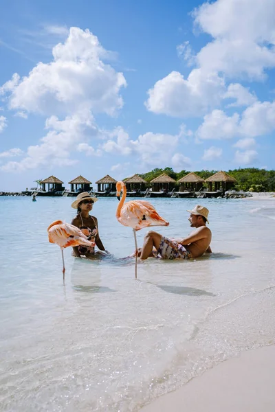 Praia de Aruba com flamingos cor-de-rosa na praia, flamingo na praia na Ilha de Aruba Caribe — Fotografia de Stock