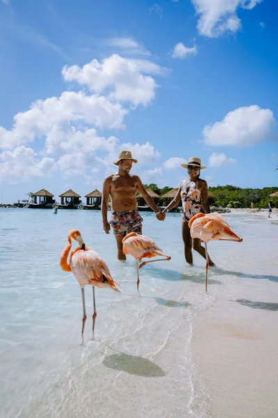 Praia de Aruba com flamingos cor-de-rosa na praia, flamingo na praia na Ilha de Aruba Caribe — Fotografia de Stock