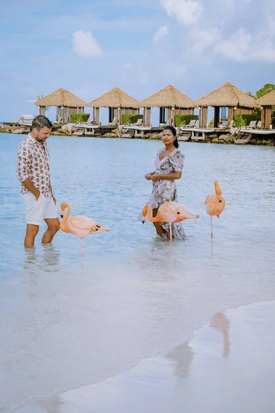 Praia de Aruba com flamingos cor-de-rosa na praia, flamingo na praia na Ilha de Aruba Caribe — Fotografia de Stock