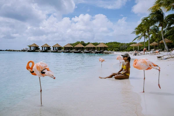 Aruba beach with pink flamingos at the beach, flamingo at the beach in Aruba Island Caribbean — Stock Photo, Image