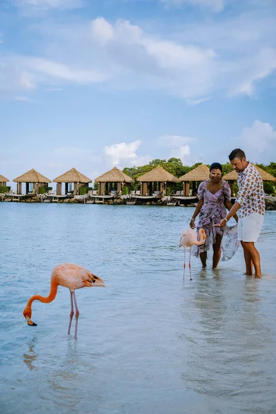 Praia de Aruba com flamingos cor-de-rosa na praia, flamingo na praia na Ilha de Aruba Caribe — Fotografia de Stock