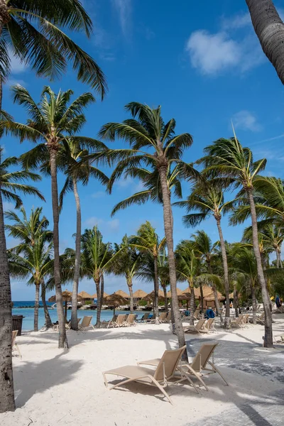 Playa de Aruba con flamencos rosados en la playa, flamenco en la playa en Aruba Island Caribe — Foto de Stock