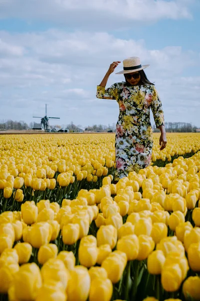 Hollanda 'daki lale tarlası, Flevoland Noordoostpolder Hollanda' daki renkli lale tarlaları, Hollanda Baharı manzarası — Stok fotoğraf