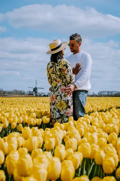 네덜란드 튤립 밭 , Flevoland Noordoostpolder Holland, Dutch Spring views — 스톡 사진