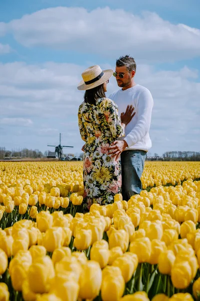 Tulip field in The Netherlands, colorful tulip fields in Flevoland Noordoostpolder Holland, Dutch Spring views — Stock Photo, Image