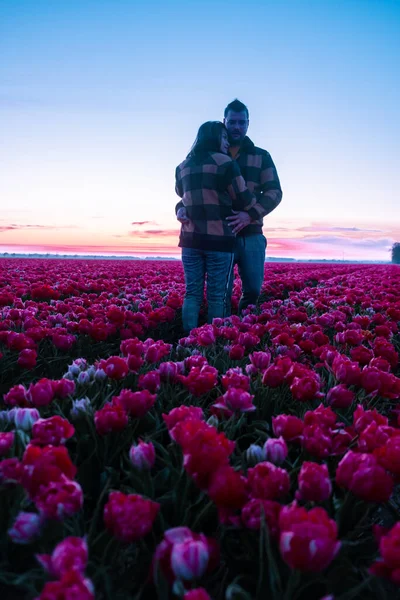 Tulpenveld in Nederland, kleurrijke tulpenvelden in Flevoland Noordoostpolder — Stockfoto