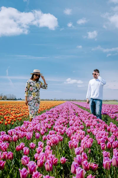 Tulip field in The Netherlands, colorful tulip fields in Flevoland Noordoostpolder Holland, Dutch Spring views — Stock Photo, Image