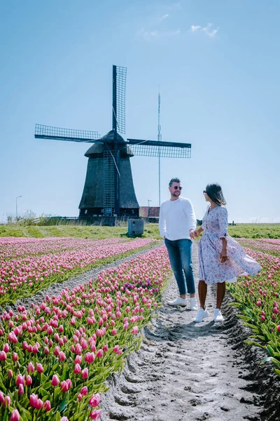 Hollanda 'daki lale tarlası, Flevoland Noordoostpolder Hollanda' daki renkli lale tarlaları, Hollanda Baharı manzarası — Stok fotoğraf