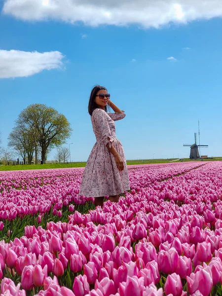 Tulipánové pole v Nizozemsku, barevná tulipánová pole ve Flevolandu Noordoostpolder Holland, holandské jarní výhledy — Stock fotografie