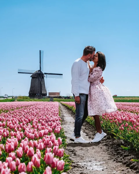 Tulpenveld in Nederland, kleurrijke tulpenvelden in Flevoland Noordoostpolder — Stockfoto