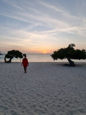 Aruba 'daki Kartal Sahili kıyısında Divi Dalış Ağaçları