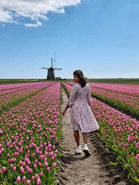 Tulip field in The Netherlands, colorful tulip fields in Flevoland Noordoostpolder Holland, Dutch Spring views — Stock Photo, Image