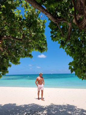 Palm Beach Aruba Karayipleri, Aruba 'da palmiye ağaçları olan beyaz kumlu plaj