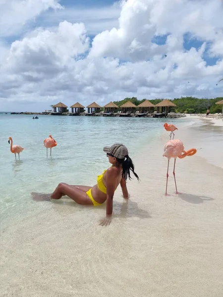 Aruba strand rózsaszín flamingókkal a strandon, flamingó a strandon Aruba sziget Karib-tenger — Stock Fotó