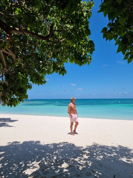 Pálma strand Aruba Karib-tenger, fehér hosszú homokos strand pálmafákkal Aruba — Stock Fotó