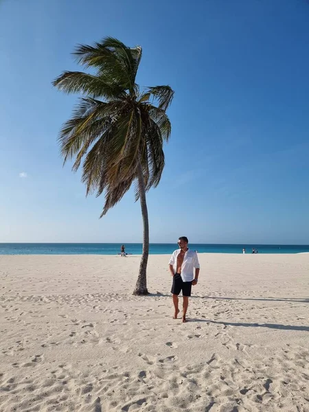 Spiaggia di palme Aruba Caraibi, lunga spiaggia di sabbia bianca con palme ad Aruba — Foto Stock