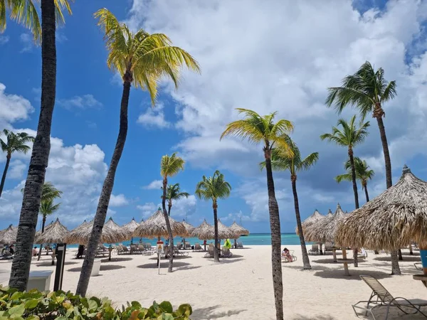 Palm beach Aruba Caribe, playa de arena blanca y larga con palmeras en Aruba — Foto de Stock