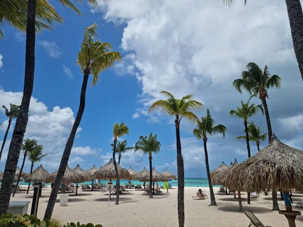 Palm Beach Aruba Caribbean, biała piaszczysta plaża z palmami na Arubie — Zdjęcie stockowe