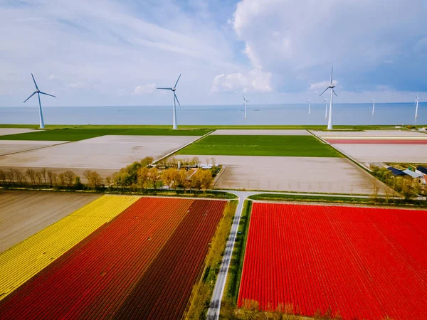 Offshore Windmill farm in the ocean Westermeerwind park , windmills isolated at sea on a beautiful bright day Netherlands Flevoland Noordoostpolder