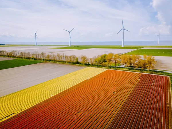 Offshore Windmill farm in the ocean Westermeerwind park , windmills isolated at sea on a beautiful bright day Netherlands Flevoland Noordoostpolder