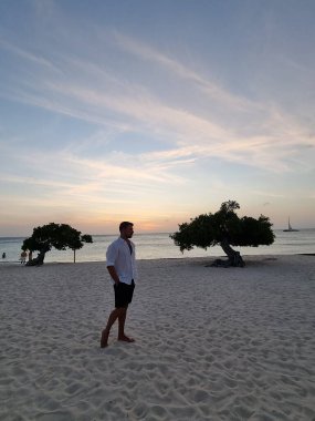 Aruba 'daki Kartal Sahili kıyısında Divi Dalış Ağaçları