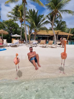 Plajda pembe flamingolu Aruba plajı, Aruba Adası Karayiplerinde flamingo.