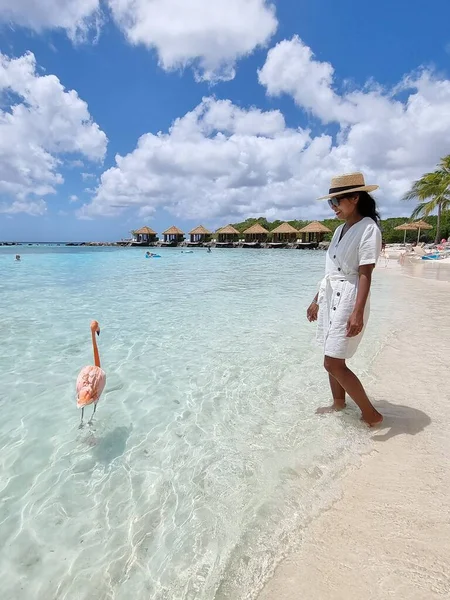 Aruba strand rózsaszín flamingókkal a strandon, flamingó a strandon Aruba sziget Karib-tenger — Stock Fotó